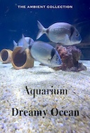 deep_sea_aquarium_dreamy_ocean