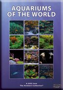 Tropical and Freshwater Fishes and Marine Life from around the Blue Oceans