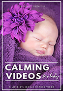 bedtime-entertaiment-relaxing-films-for-babies-kids-with-calming-music-or-nature-sound