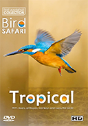 bird-safari-dvd-tropical-birds