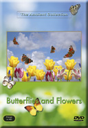 Orchid Garden with Butterflies and Flowers from the Orient
