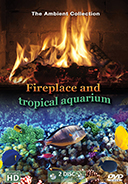 fireplace-and-tropical-aquarium-2016