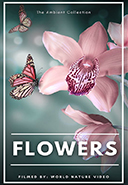 flowers-from-all-over-the-world-with-nature-sounds-or-music