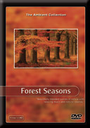 Scenery of Wood Landscapes in Spring Summer Fall Winter