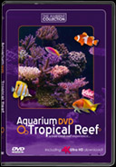 4k-ultra-hd-video-free-download-tropical-reef