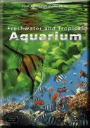 Fish Tanks with Fishes from the Rivers and Lakes and Seas