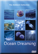 Scenery for Relaxation of Oceans with Marine Animals and Sea Life 