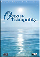 Waves and Beaches For Relaxation