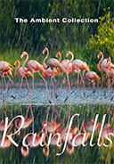 rainfall-with-tropical-birds-nature-scenery-flamingos-waterfalls-with-sounds-of-raindrops