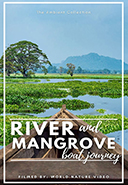 river-boat-journeys-from-asia-sounds-of-the-jungle-and-music