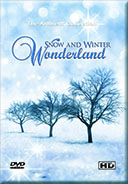 christmas-snow-and-winter-wonderland