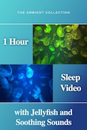 1_hour_sleep_with_jellyfish_and_soothing_sounds