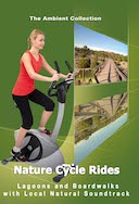 4_K_nature_virtual_cycle_ride_lagoons_and_boardwalks_with_local_natural_soundtrack