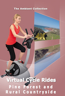 4_k_virtual_cycle_pine_forest_and_rural_countryside