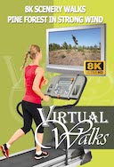 8_k_scenery_walks_pine_forest_in_strong_wind