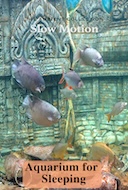 aquarium_for_sleeping
