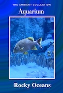 aquarium_rocky_oceans