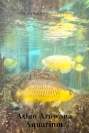 asian_arowana_aquarium