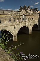 bath_abbey_Pulteney_bridge_bath_somerset_england