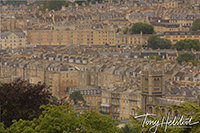 bath_abbey_rooftops_bath_somerset_england