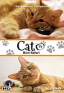 cat_tv_take_your_cat_on_a_thrilling_and_exciting_bird_safari
