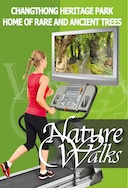 nature_walk_changthong_heritage_park_home_of_rare_and_ancient_trees
