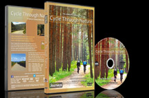 Exercise in Beautiful Forests with Nature Sounds
