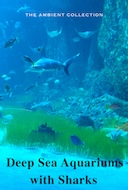 deep_sea_aquariums_with_sharks