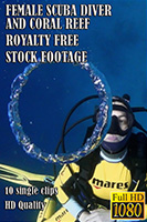 female_scuba_diver_and_coral_reef_hd_royalty_free_stock_footage
