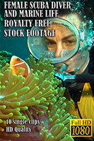 female_scuba_diver_and_marine_life_hd_royalty_free_stock_footage