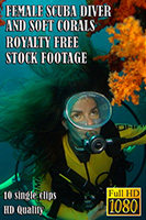 female_scuba_diver_and_soft_corals_hd_royalty_fee_stock_footage
