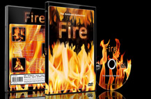 Fire Videos Cozy Fireplace and Campfires and Flames