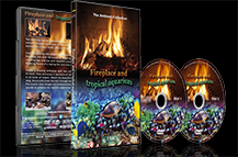 Fireplace Dvds And Fireplace Videos