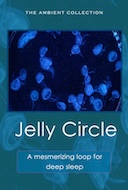 jelly_circle_a_mesmerzizing_loop_for_deep_sleep