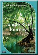 jungle-river-journeys-with-nature-sounds