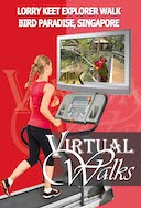 virtual_walk_lorry_keet_explorer_walk_bird_paradise_singapore