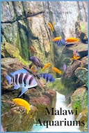 Malawi_aquariums