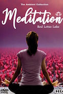 meditation-with-nature-red-lotus-lake