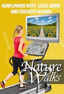 nature_walk_sunflowers_with_local_birds_and_crickets_sounds
