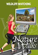 virtual-nature-walks-with-wildlife-watching