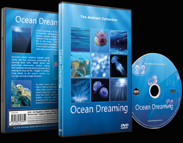 Scenery for Relaxation of Oceans with Marine Animals and Sea Life 