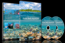 Ocean Reefs Aquariums