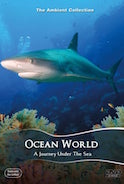 ocean_world_an_underwater_relaxation_experience