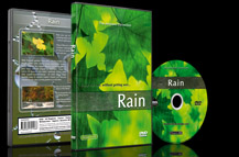 Rainfall in Woodlands and Tropical Landscapes with Sounds of the Rain