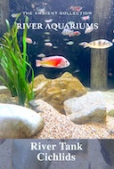 river_aquariums_river_tank_cichlids