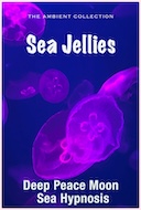sea_jellies_deep_peace_moon_sea_hypnosis
