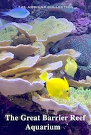 the_great_barrier_reef_aquarium