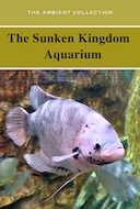 the_sunken_kingdom_aquarium