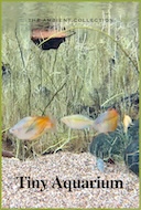 tiny_aquarium