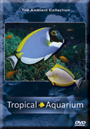 Tropical_Aquarium_2_Hours_of_Award_Wining_Fish_Tanks